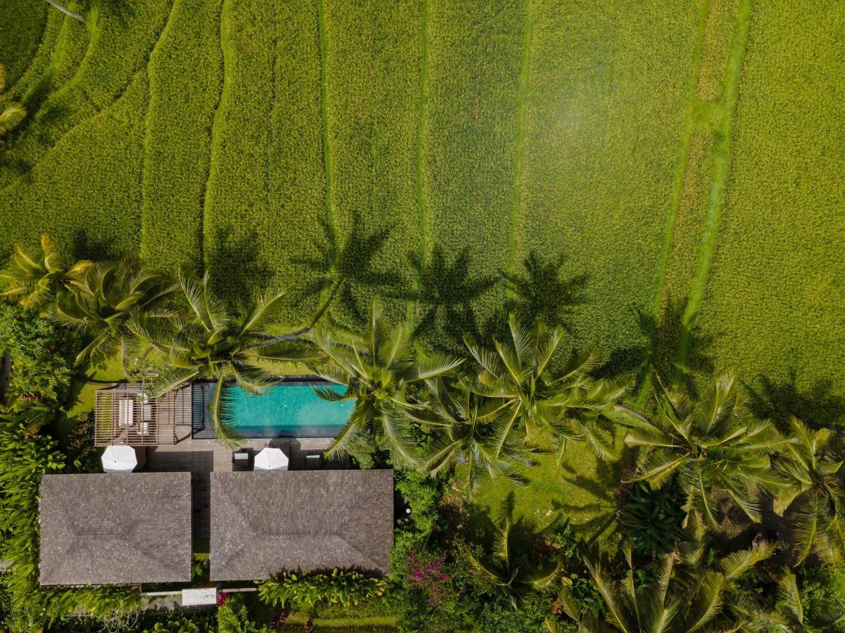 Kappa Senses Ubud 外观 照片