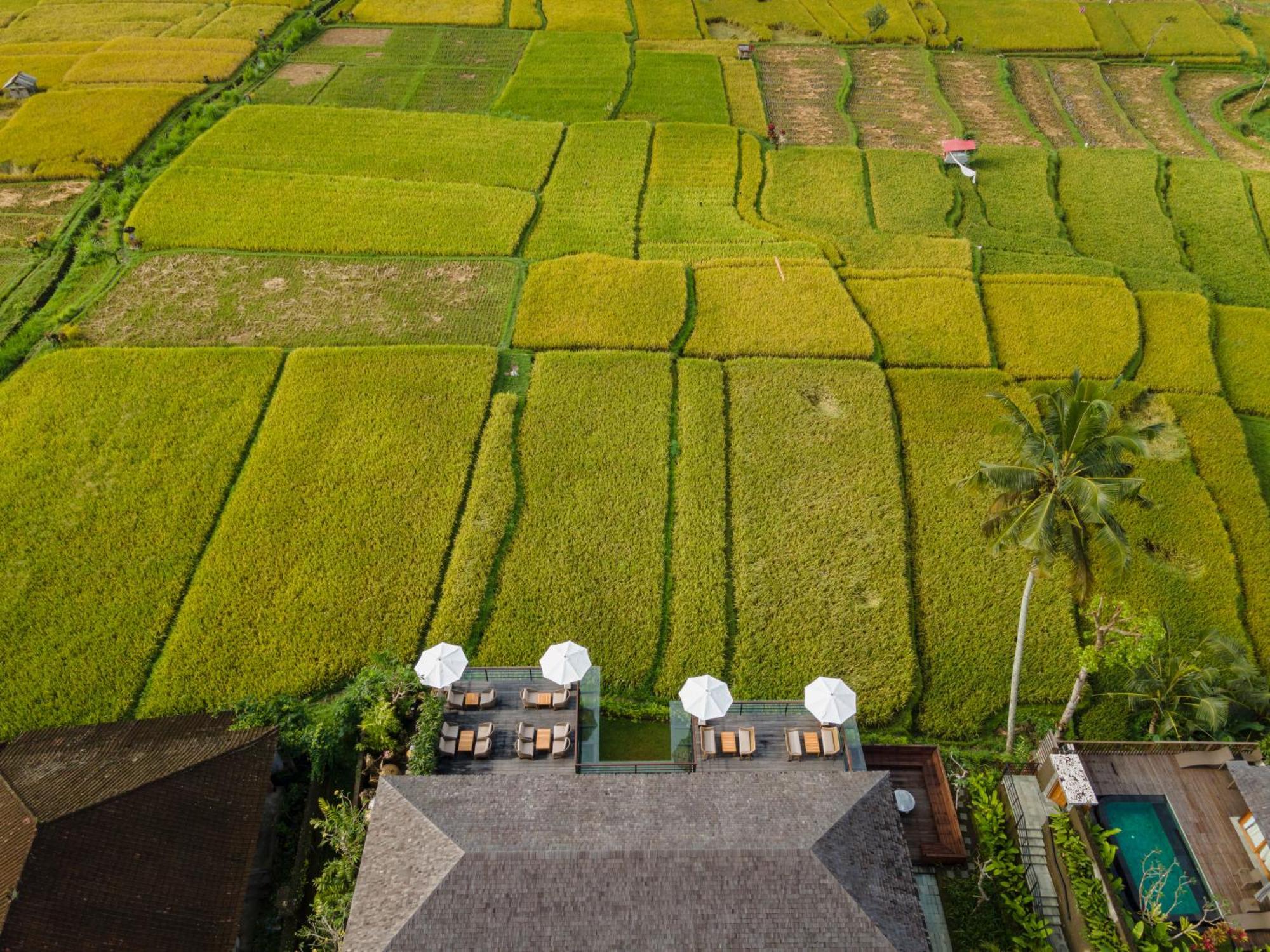 Kappa Senses Ubud 外观 照片