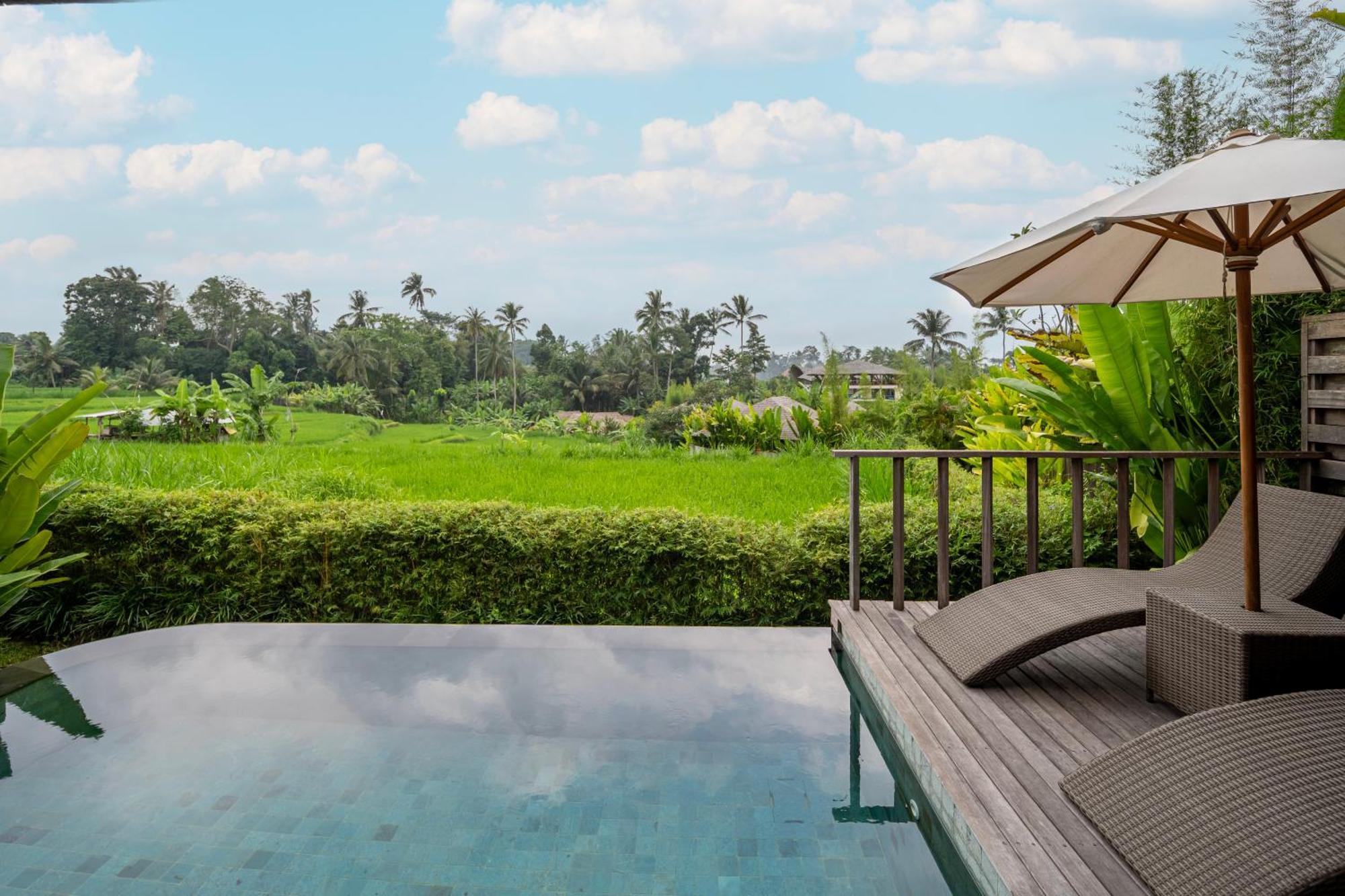 Kappa Senses Ubud 客房 照片